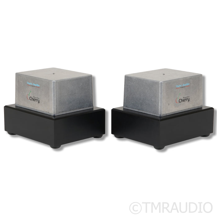 Digital Amplifier Company Maraschino Cherry Monoblock Power Amplifiers; Pair