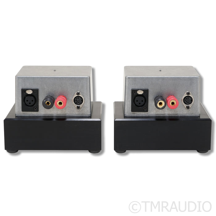 Digital Amplifier Company Maraschino Cherry Monoblock Power Amplifiers; Pair