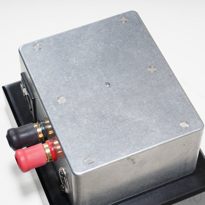 Digital Amplifier Company Maraschino Cherry Monoblock Power Amplifiers; Pair