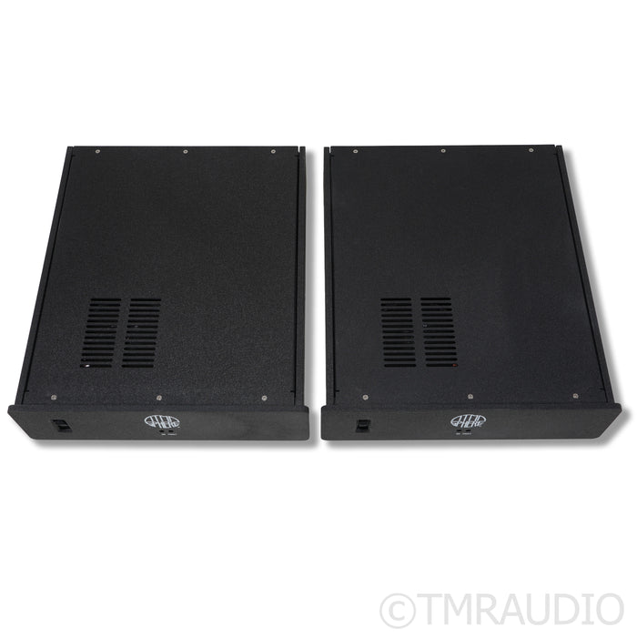 Atma-Sphere Class D Monoblock Power Amplifiers; Pair