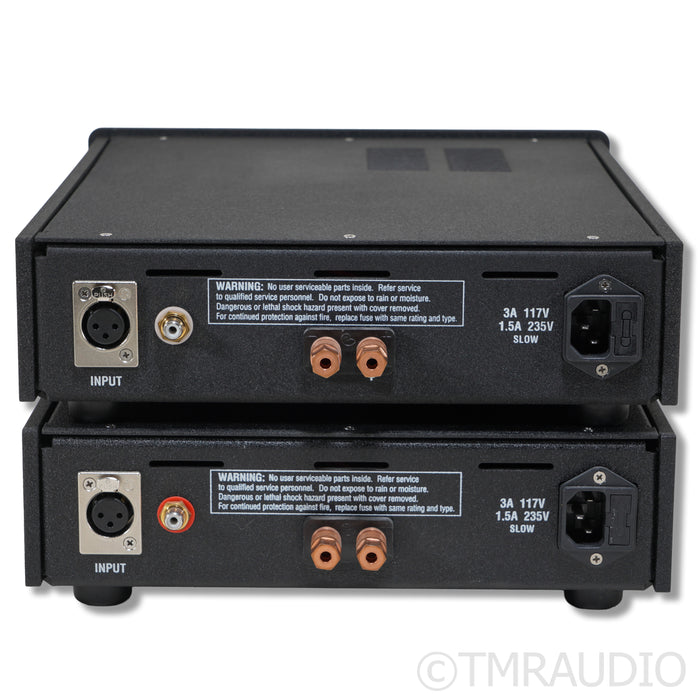 Atma-Sphere Class D Monoblock Power Amplifiers; Pair