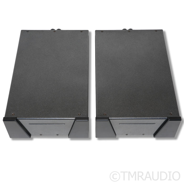 Wyred 4 Sound SX-1000R Monblock Power Amplifiers; Pair