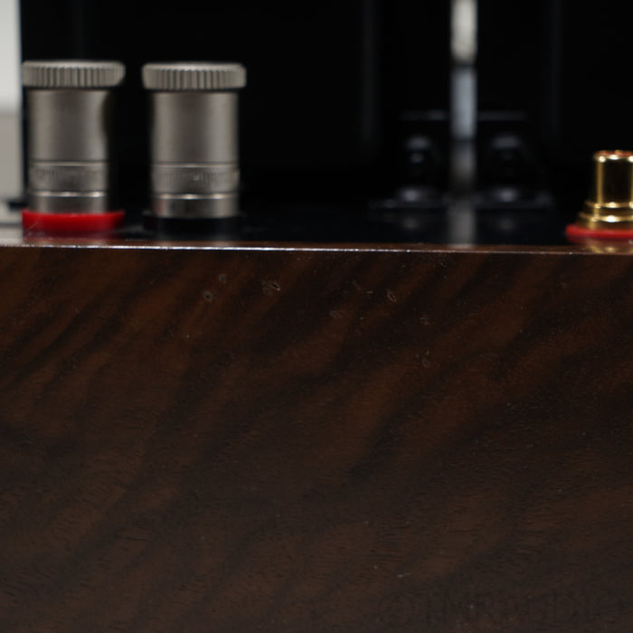Ampsandsound Mogwai SE Stereo Tube Power Amplifier