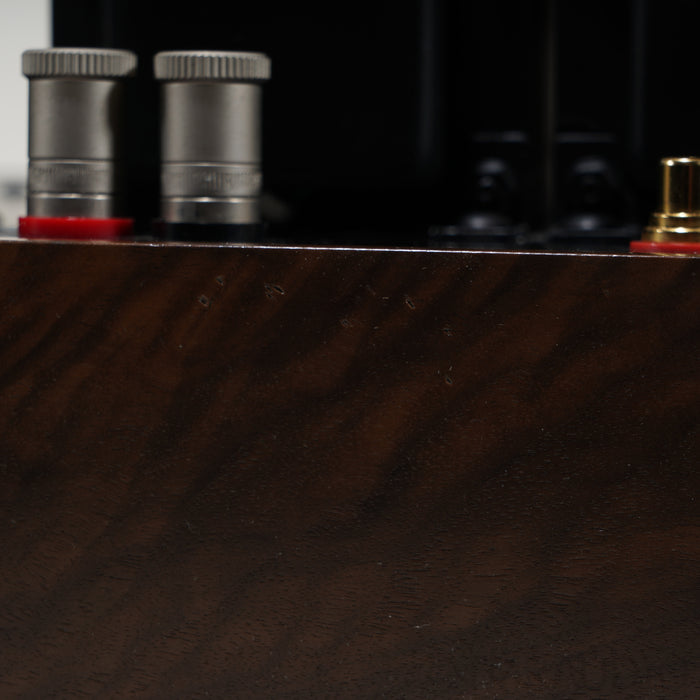 Ampsandsound Mogwai SE Stereo Tube Power Amplifier