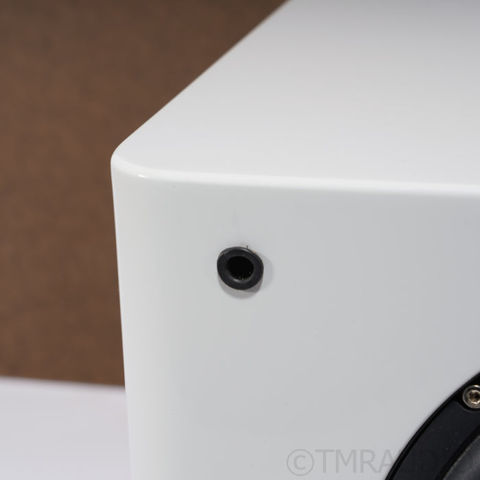 REL Acoustics T/7x Subwoofer; Piano White