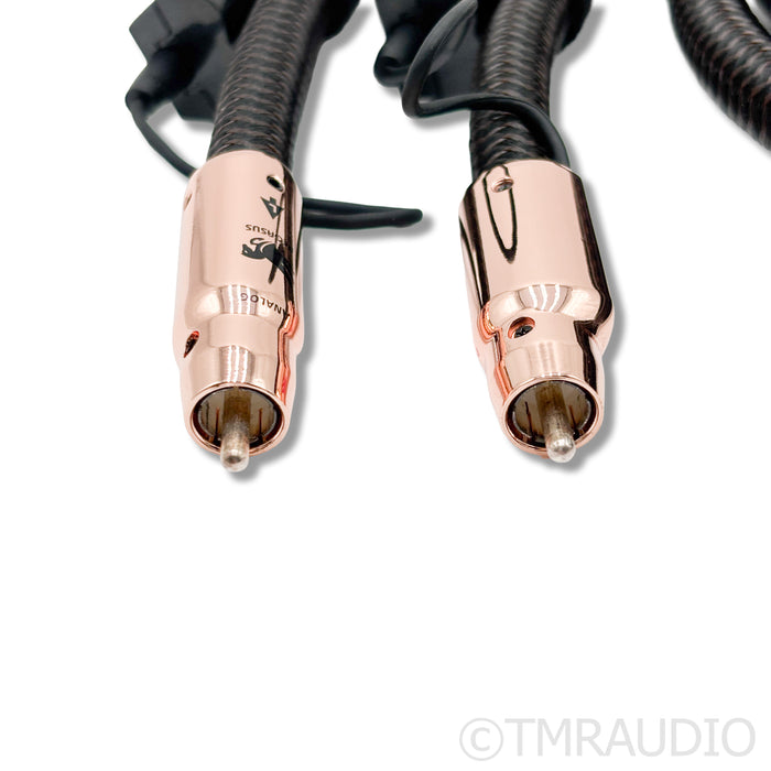 AudioQuest Pegasus RCA Cables; 2m Pair Interconnects