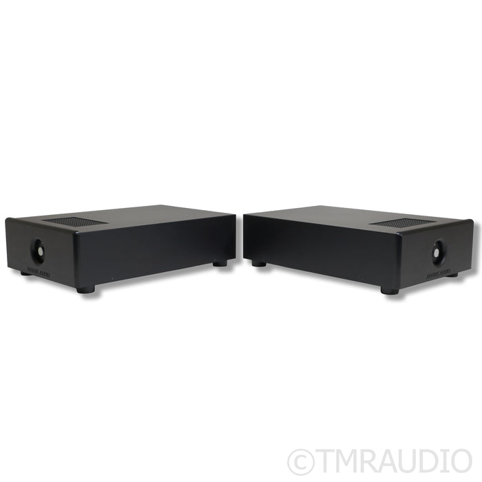 Rogue Audio DragoN Monoblock Hybrid Power Amplifier; Black Pair