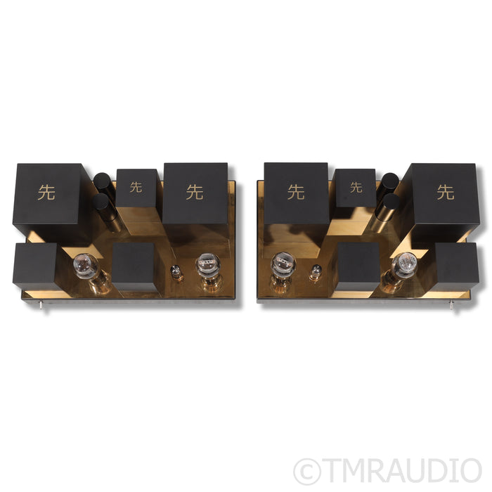 Destination Audio Type 50 Tube Monoblock Power Amplifiers; Pair