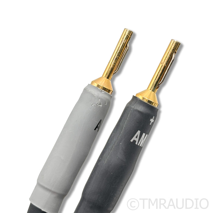 Shunyata Research Alpha V2 Speaker Cables; 2m Pair
