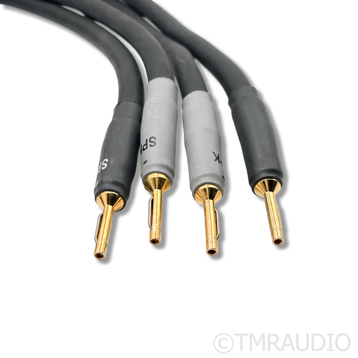Shunyata Research Alpha V2 Speaker Cables; 2m Pair
