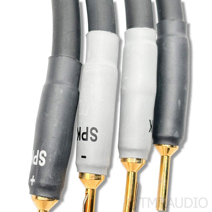 Shunyata Research Alpha V2 Speaker Cables; 2m Pair