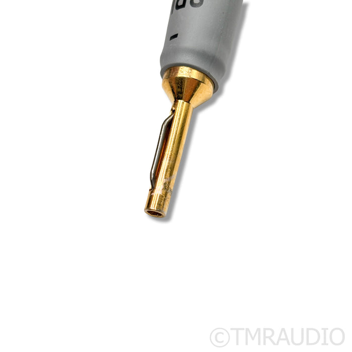 Shunyata Research Alpha V2 Speaker Cables; 2m Pair