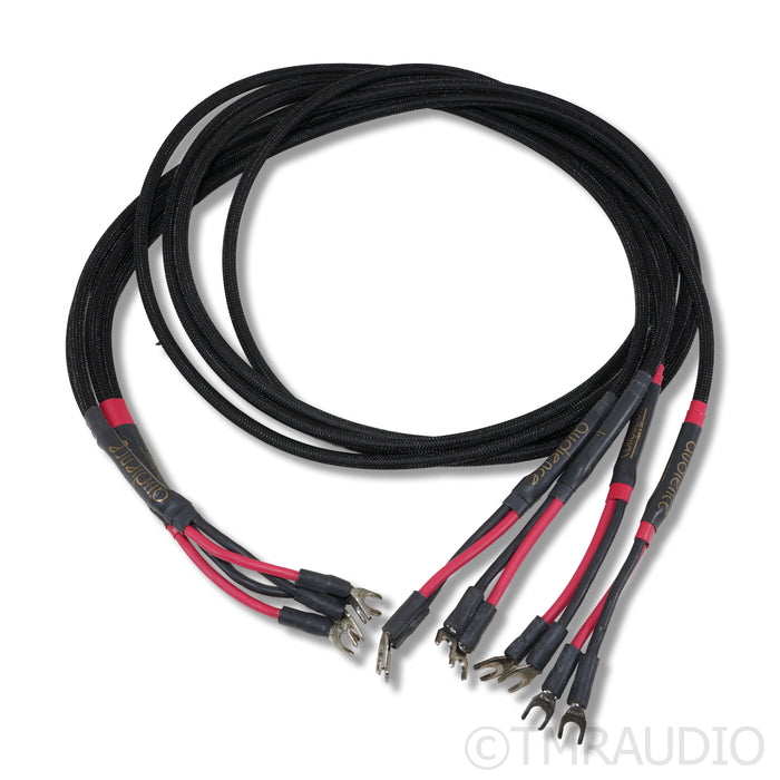 Audience Conductor Bi-Wire Speaker Cables; 1.75m Pair