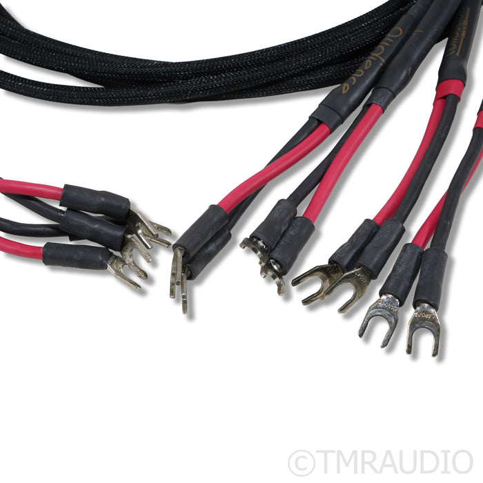 Audience Conductor Bi-Wire Speaker Cables; 1.75m Pair