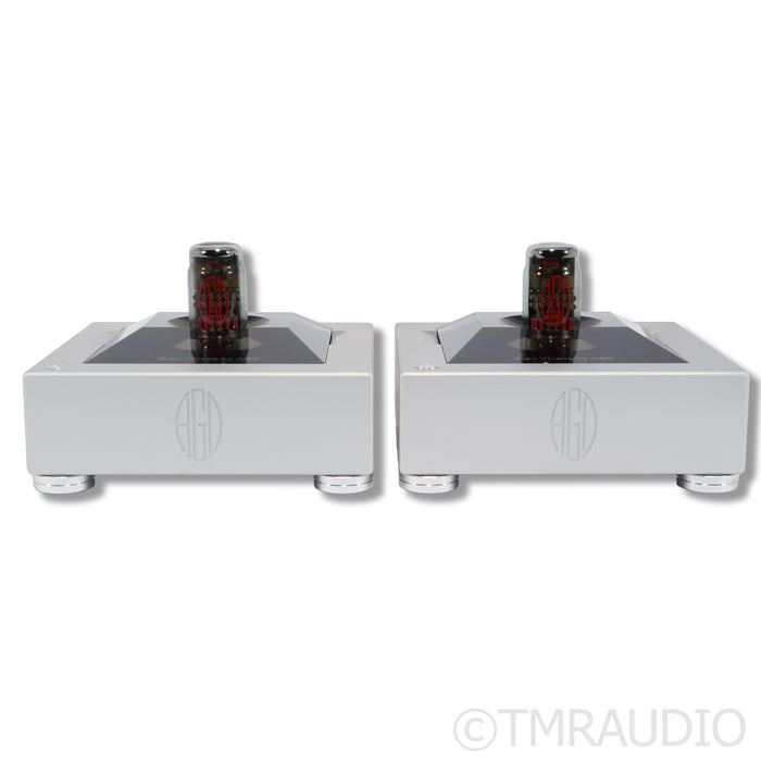 AGD Productions Inc. Gran Vivace Mk.II MonoBlock Tube Amplifier; Pair