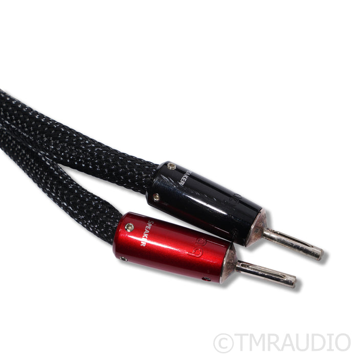 AudioQuest ThunderBird ZERO Speaker Cables; Pair (One 2.5m / One 3.5m)