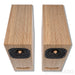 Closer Acoustics OGY Bookshelf Speakers; Plywood Pair