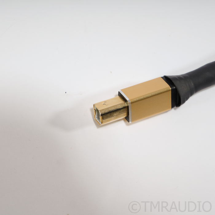 Tara Labs Master USB Cable; 1m Single Cable w/ EVO Grounding Station; USB A - B