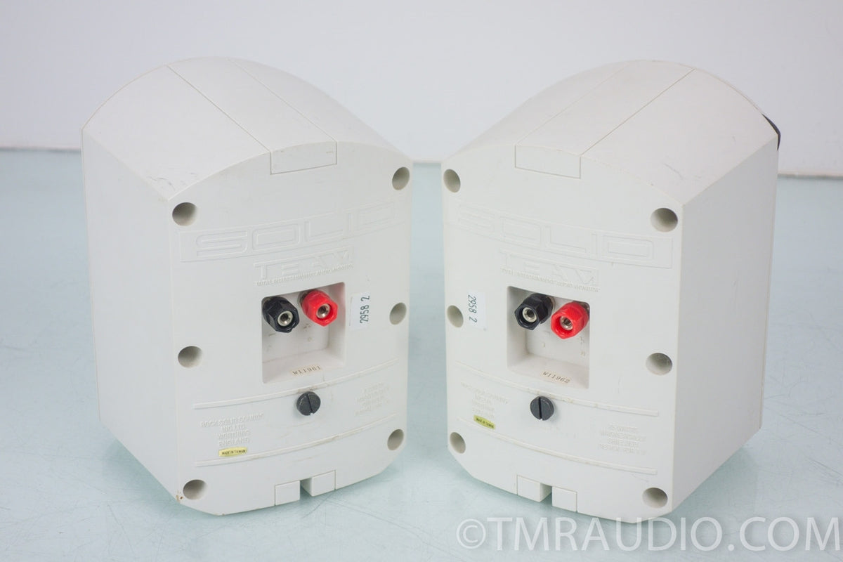 Rock Solid Sounds Indoor / Outdoor Speakers — The Music Room