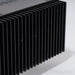 Van Alstine DVA M225 Monoblock Power Amplifiers; Pair