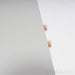 Esoteric Audio F-03A Stereo Integrated Amplifier; MC/MM Phono