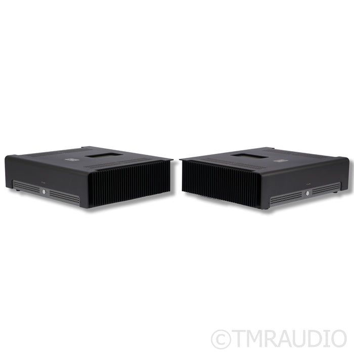 Schiit Audio TYR Monoblock Power Amplifier; Pair