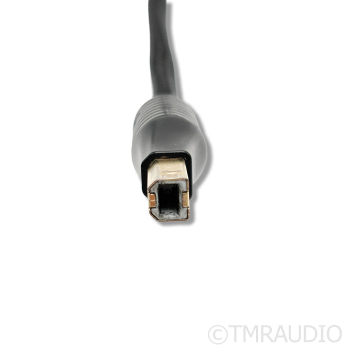 Shunyata Research Sigma USB Cable; 1.5m Single Digital Interconnect; USB A to B