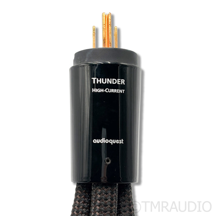 AudioQuest Thunder HC Power Cable; 2m; C19 20A Connector