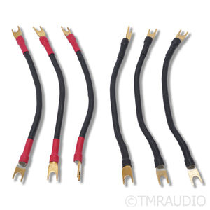 Transparent Audio High Performance Biwire Speaker Adapters; 8"