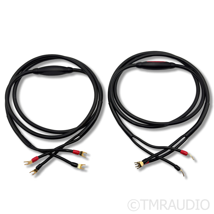 Transparent Audio MusicWave Speaker Cables; 8ft Pair