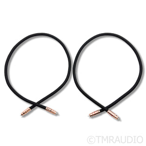 AudioQuest Black Beauty RCA Interconnects; 1m Pair