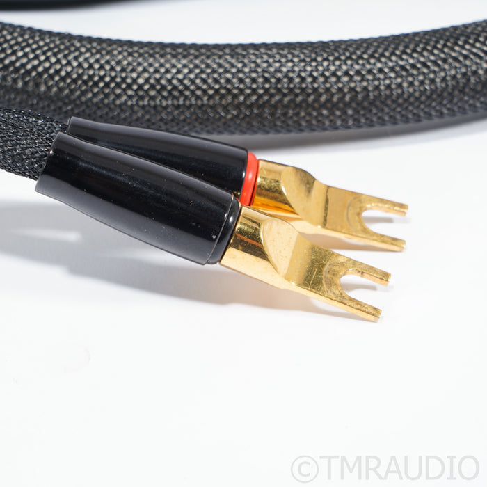 Transparent Audio Reference MM2 Speaker Cables; 10ft Pair