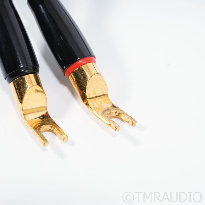 Transparent Audio Reference MM2 Speaker Cables; 10ft Pair