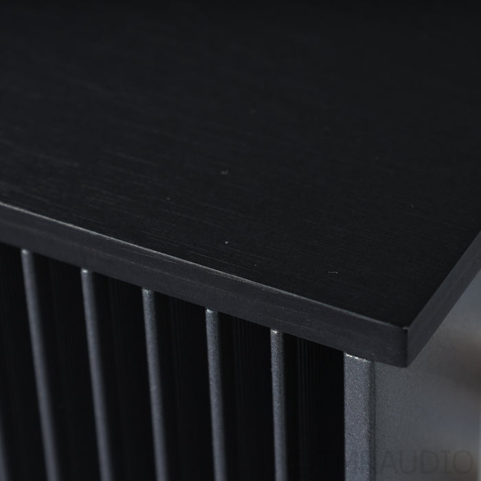 Audia Flight FLS10 Stereo Integrated Amplifier; w/ Optional DAC