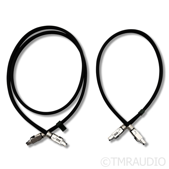 Network Acoustics Eno2 Streaming System Filter