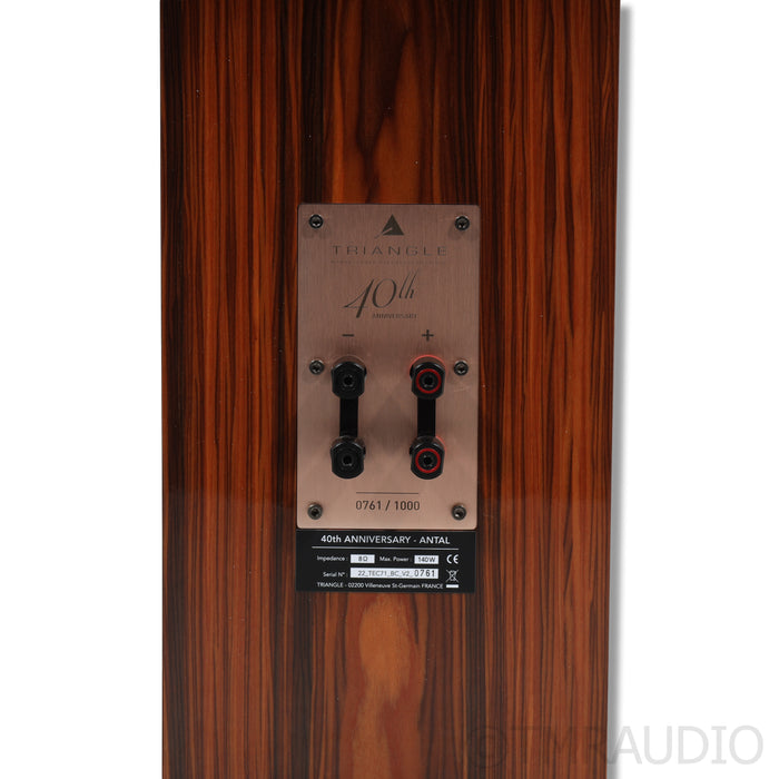 Triangle Esprit Antal 40th Floorstanding Speakers; Golden Oak Pair