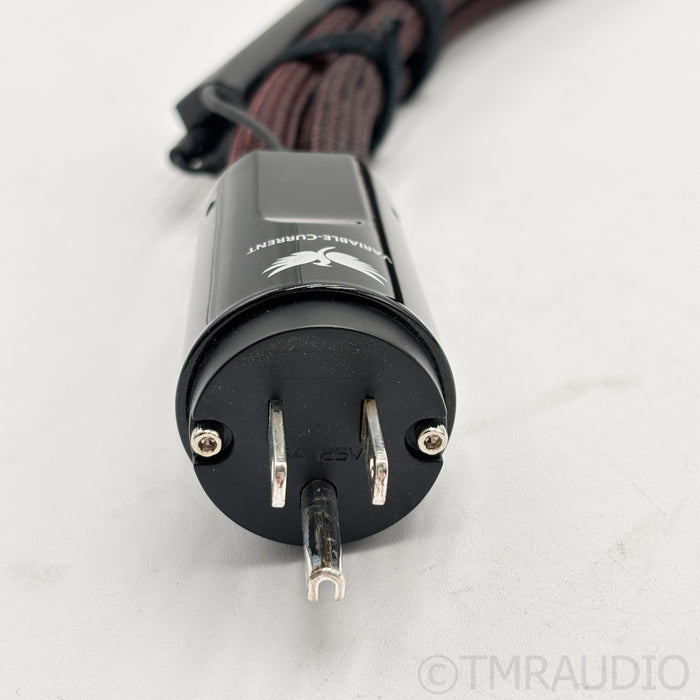 AudioQuest Firebird High-Current Power Cable; 1m