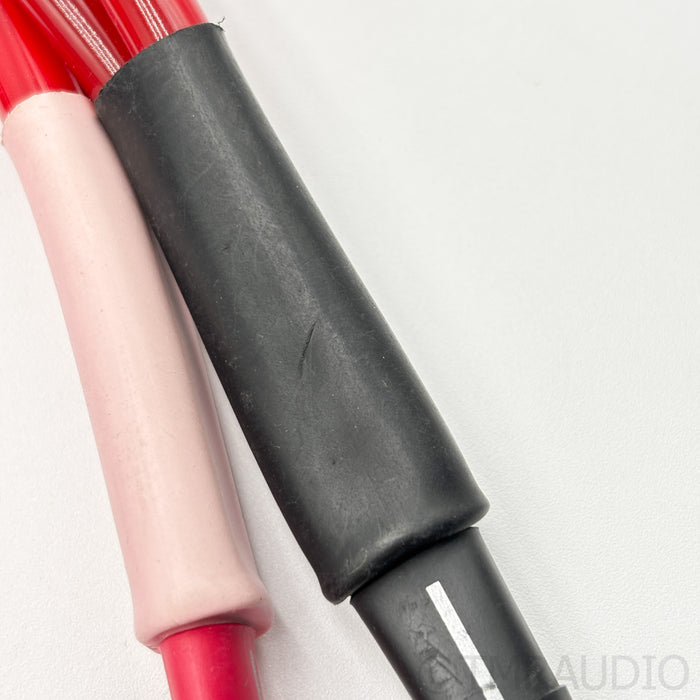 TimePortal Cables Signature Series Speaker Cables; 3m Pair