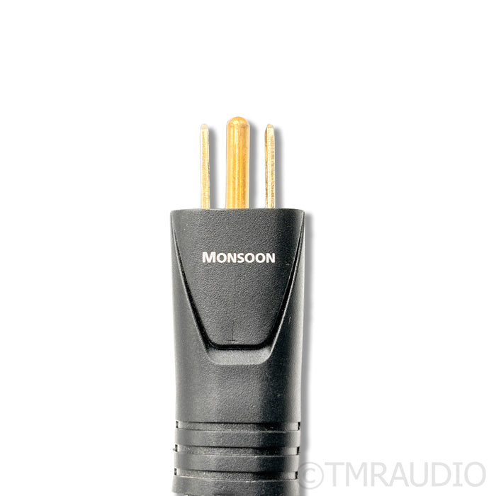 AudioQuest Monsoon Power Cable; 3m AC Cord