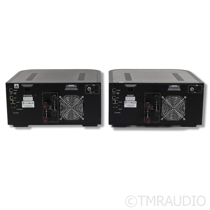 Classe Audio Delta Mono Power Amplifier; Pair