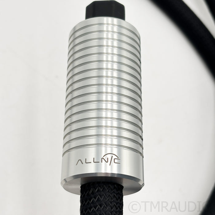 Allnic Audio ZL-8000 Silver Power Cable; 2m AC Cord