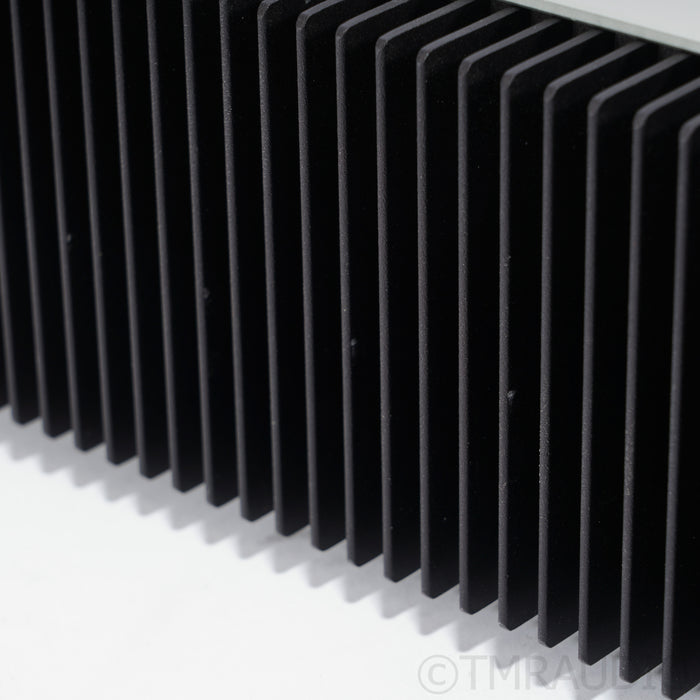 Schiit Audio Aegir 2F Stereo Power Amplifier