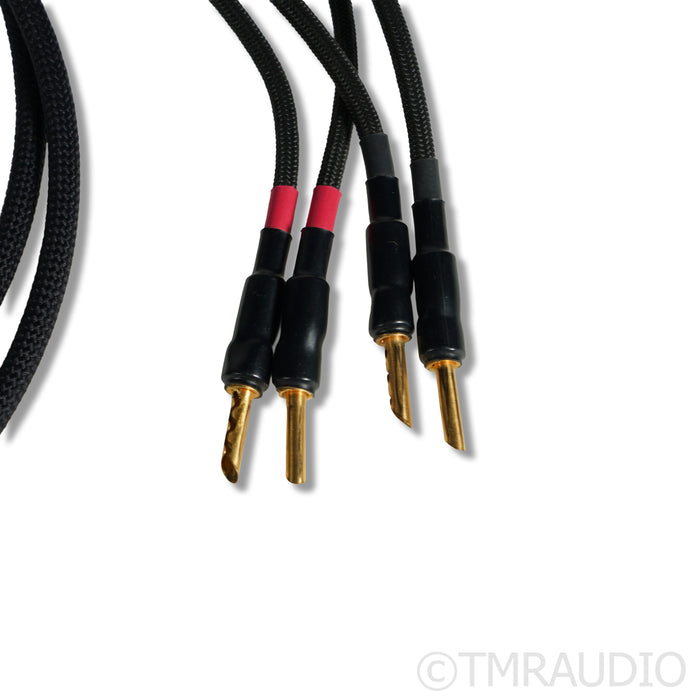 Audience frontRow Speaker Cables; 2m