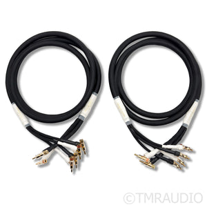 Silnote Audio Anniversary II Master Reference Speaker Cables; 8ft Pair