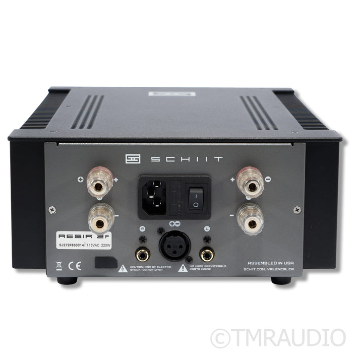 Schiit Audio Aegir 2F Stereo Power Amplifier