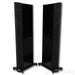 GoldenEar T66 Floorstanding Speakers; Black Pair