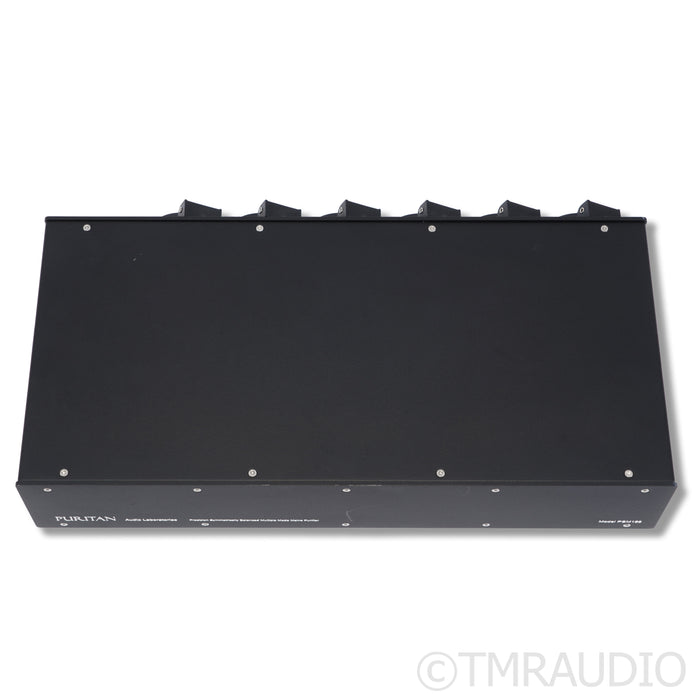 Puritan Audio Labs PSM156 AC Power Line Conditioner