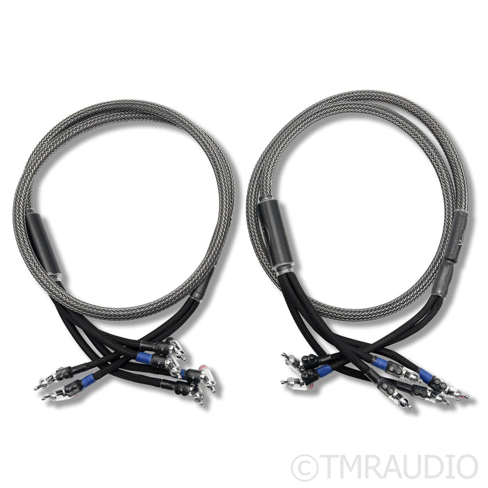 VooDoo Cables Evolution Bi-Wired Speaker Cables; 4ft Pair