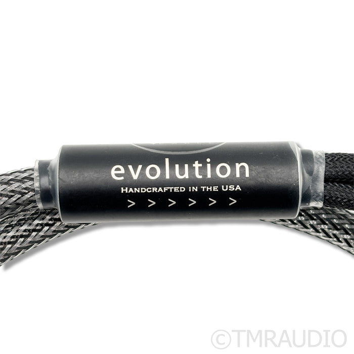 VooDoo Cables Evolution Bi-Wired Speaker Cables; 4ft Pair