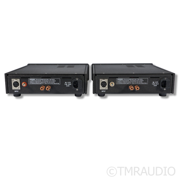 Atma-Sphere Class D Monoblock Power Amplifiers; Pair